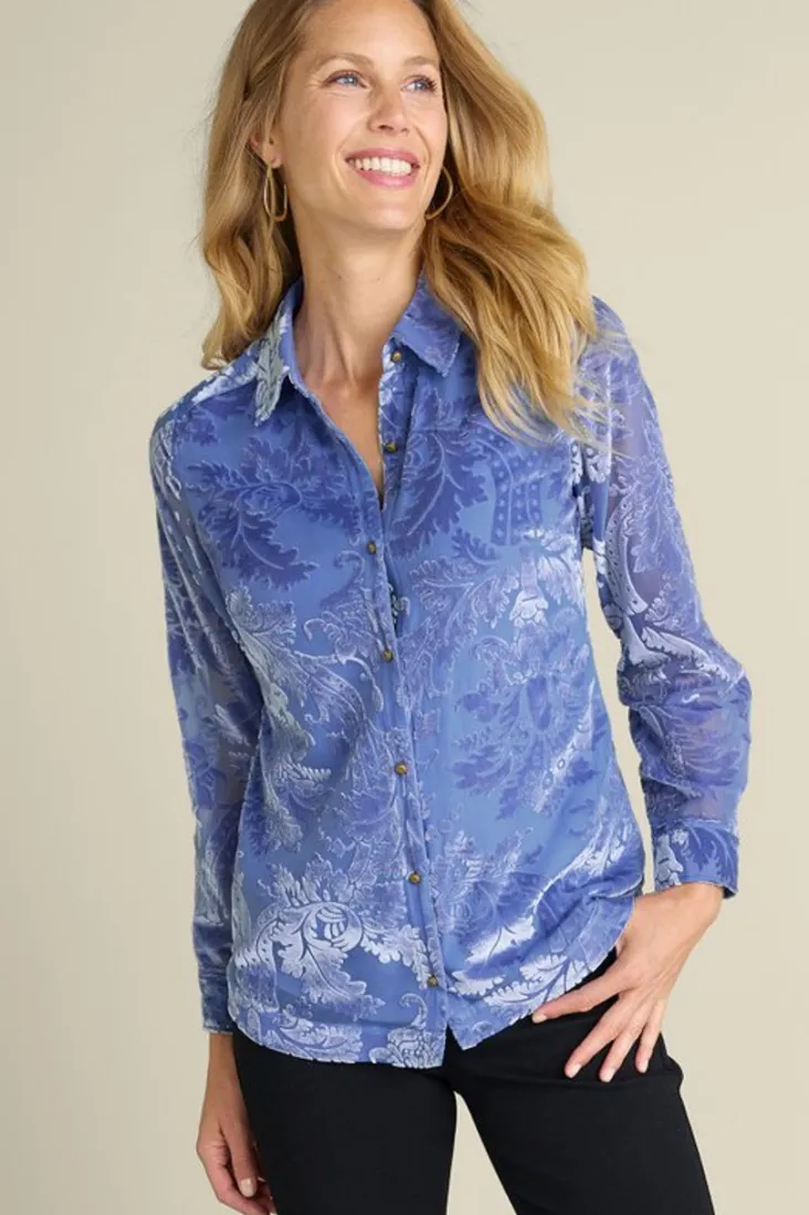 Fashion Soft Surroundings Floreat Velvet Shirt