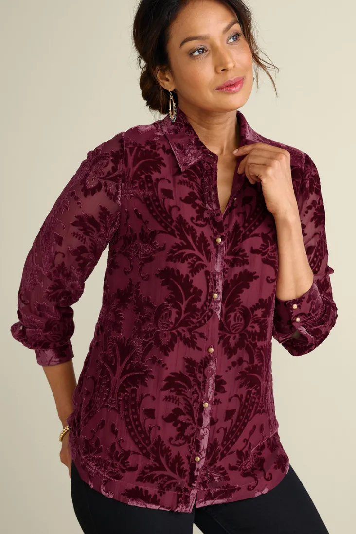 floreat_velvet_shirt_11.webp Fashion Soft Surroundings Floreat Velvet Shirt