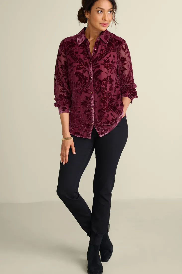 floreat_velvet_shirt_13.webp Fashion Soft Surroundings Floreat Velvet Shirt
