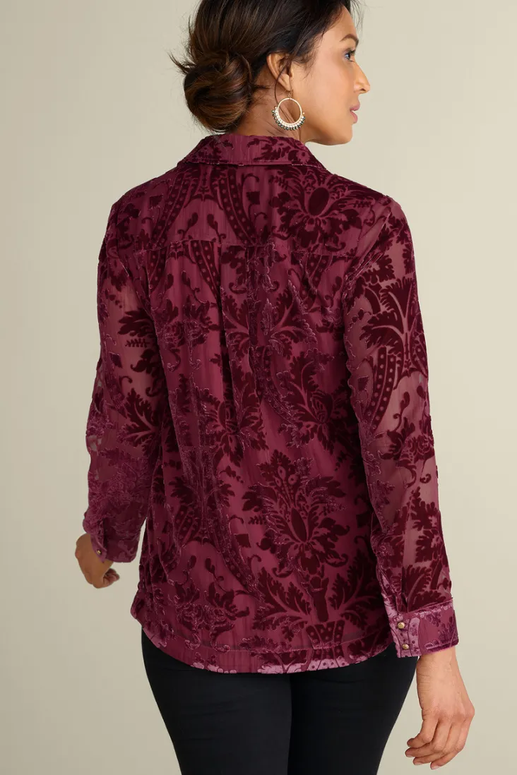 floreat_velvet_shirt_14.webp Fashion Soft Surroundings Floreat Velvet Shirt