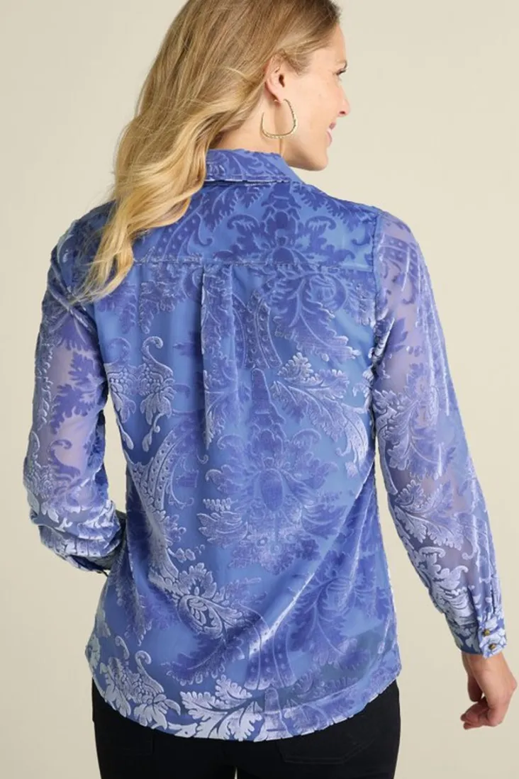 floreat_velvet_shirt_2.webp Fashion Soft Surroundings Floreat Velvet Shirt