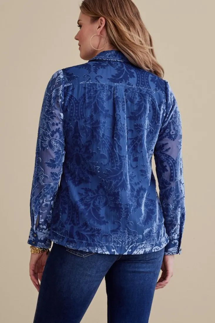 floreat_velvet_shirt_7.webp Fashion Soft Surroundings Floreat Velvet Shirt