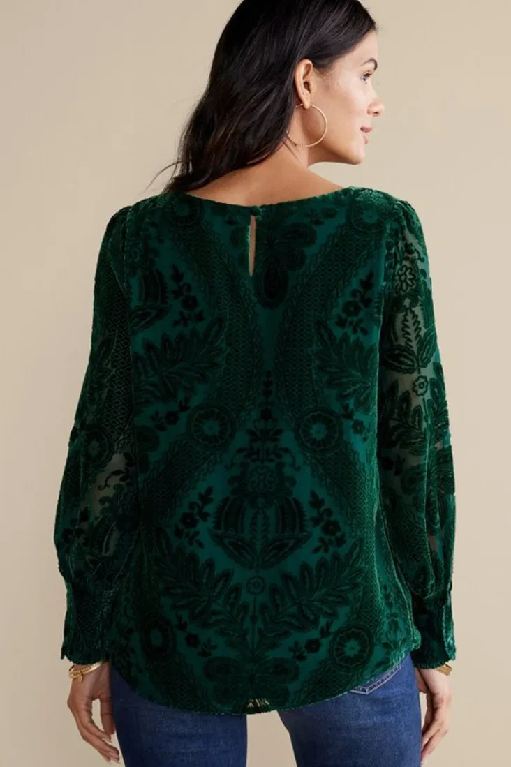 vanetta_velvet_top_9.webp Shop Soft Surroundings Vanetta Velvet Top